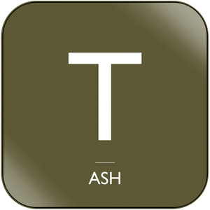 Ash Instinct Album Cover Sticker Album Cover Sticker Ash Instinct Album Cover Sticker Album Cover Sticker