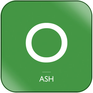 Ash Mind Control Album Cover Sticker Album Cover Sticker Ash Mind Control Album Cover Sticker Album Cover Sticker