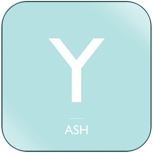 Ash Sky Burial Album Cover Sticker Album Cover Sticker