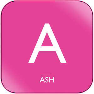 Ash True Love 1980 Album Cover Sticker Album Cover Sticker Ash True Love 1980 Album Cover Sticker Album Cover Sticker