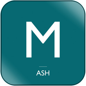 Ash War With Me Album Cover Sticker Album Cover Sticker Ash War With Me Album Cover Sticker Album Cover Sticker
