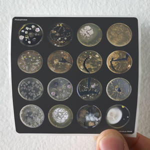 Phobophobes Miniature World 1 Album Cover Sticker