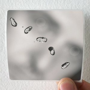 Peter Gabriel Up 2 Album Cover Sticker Peter Gabriel Up 2 Album Cover Sticker