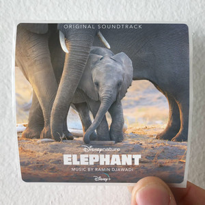 Ramin Djawadi Elephant Album Cover Sticker