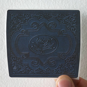 Ryan Adams Cold Roses Album Cover Sticker Ryan Adams Cold Roses Album Cover Sticker