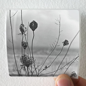 Recondite Placid Album Cover Sticker Recondite Placid Album Cover Sticker