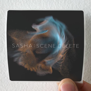 Sasha Scene Delete Album Cover Sticker Sasha Scene Delete Album Cover Sticker