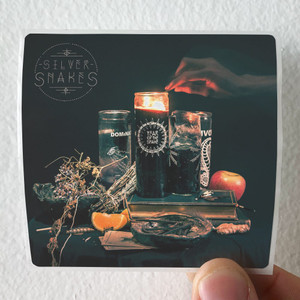Silver Snakes Year Of The Snake Album Cover Sticker Silver Snakes Year Of The Snake Album Cover Sticker