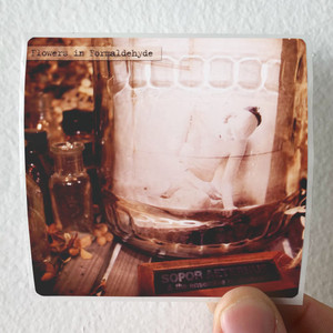 Sopor Aeternus and The Ensemble of Shadows Flowers In Formaldehyde Album Cover Sticker Sopor Aeternus and The Ensemble of Shadows Flowers In Formaldehyde Album Cover Sticker
