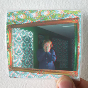 Ty Segall Mr Face Album Cover Sticker