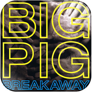 Big Pig A Brief History Of Love Album Cover Sticker Album Cover Sticker Big Pig A Brief History Of Love Album Cover Sticker Album Cover Sticker