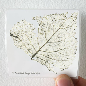 The Telescopes Hungry Audio Tapes Album Cover Sticker