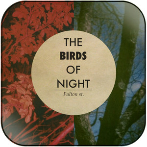 The Birds of Night Were A Family Now Album Cover Sticker Album Cover Sticker The Birds of Night Were A Family Now Album Cover Sticker Album Cover Sticker