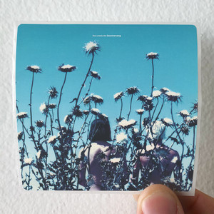 The Creatures Boomerang Album Cover Sticker The Creatures Boomerang Album Cover Sticker