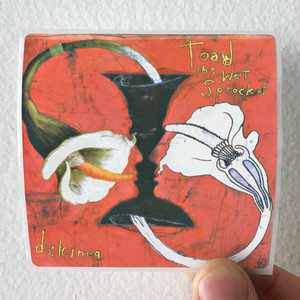 Toad the Wet Sprocket Dulcinea Album Cover Sticker
