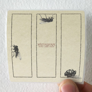 Watershape You Are Not Album Cover Sticker