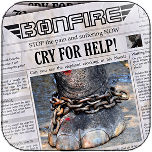 Bonfire Dont Touch The Light Album Cover Sticker Album Cover Sticker Bonfire Dont Touch The Light Album Cover Sticker Album Cover Sticker