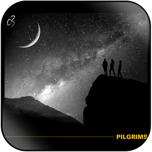C3 Music Pilgrims Album Cover Sticker Album Cover Sticker C3 Music Pilgrims Album Cover Sticker Album Cover Sticker