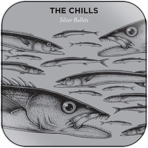 The Chills Silver Bullets Album Cover Sticker Album Cover Sticker The Chills Silver Bullets Album Cover Sticker Album Cover Sticker
