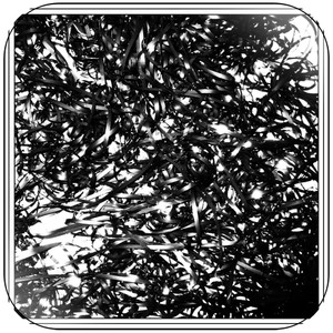 Clipping Midcity Album Cover Sticker Album Cover Sticker Clipping Midcity Album Cover Sticker Album Cover Sticker