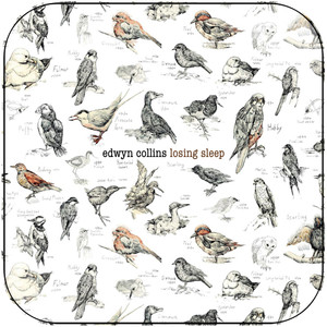 Edwyn Collins Losing Sleep Album Cover Sticker Album Cover Sticker Edwyn Collins Losing Sleep Album Cover Sticker Album Cover Sticker