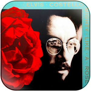 Elvis Costello Mighty Like A Rose Album Cover Sticker