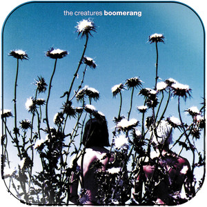 The Creatures Boomerang Album Cover Sticker Album Cover Sticker The Creatures Boomerang Album Cover Sticker Album Cover Sticker