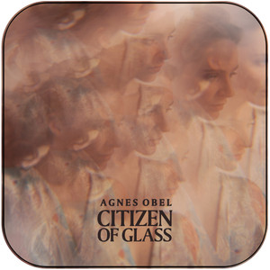 Agnes Obel Citizen Of Glass Album Cover Sticker Agnes Obel Citizen Of Glass Album Cover Sticker