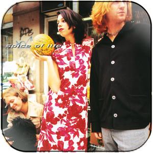 DSound Spice Of Life Album Cover Sticker DSound Spice Of Life Album Cover Sticker