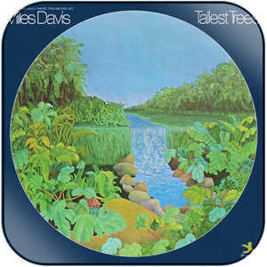 Miles Davis Tallest Trees Album Cover Sticker