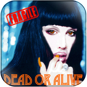 Dead or Alive Fragile Album Cover Sticker Dead or Alive Fragile Album Cover Sticker