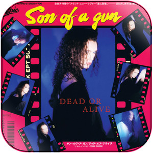 Dead or Alive Son Of A Gun Album Cover Sticker
