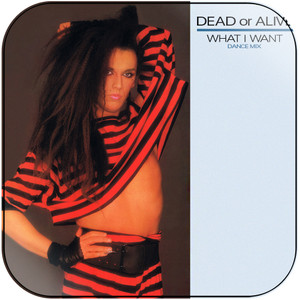 Dead or Alive What I Want Dance Mix Album Cover Sticker Dead or Alive What I Want Dance Mix Album Cover Sticker