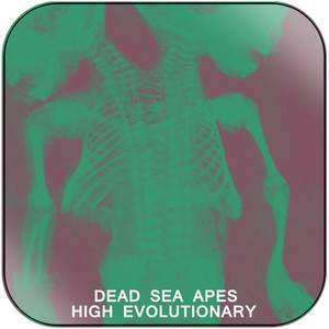 Dead Sea Apes High Evolutionary Album Cover Sticker