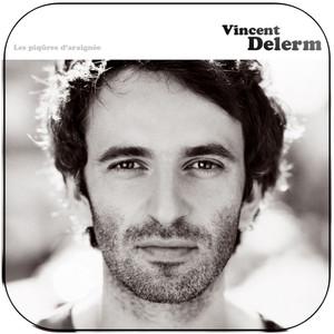 Vincent Delerm Les Piqres Daraigne Album Cover Sticker Vincent Delerm Les Piqres Daraigne Album Cover Sticker