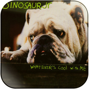 Dinosaur Jr Whatevers Cool With Me Album Cover Sticker Dinosaur Jr Whatevers Cool With Me Album Cover Sticker