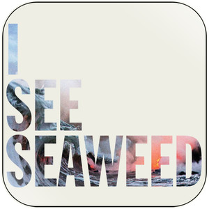 The Drones I See Seaweed Album Cover Sticker