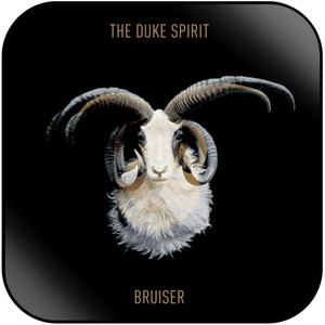 The Duke Spirit Bruiser-1 Album Cover Sticker The Duke Spirit Bruiser-1 Album Cover Sticker