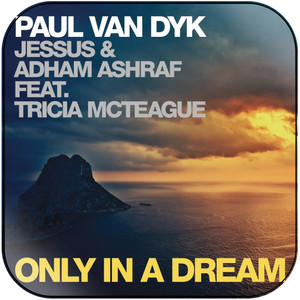 Paul van Dyk Only In A Dream Album Cover Sticker Paul van Dyk Only In A Dream Album Cover Sticker