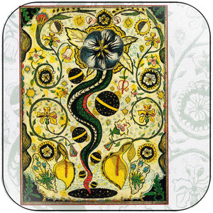 Steve Earle I Feel Alright Album Cover Sticker