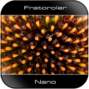 Fratoroler Nano Album Cover Sticker