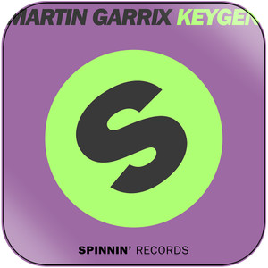 Martin Garrix Keygen Album Cover Sticker