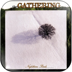The Gathering Nighttime Birds-1 Album Cover Sticker The Gathering Nighttime Birds-1 Album Cover Sticker