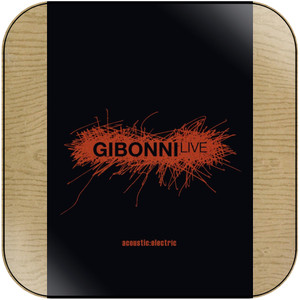 Gibonni Live Acousticelectric Album Cover Sticker Gibonni Live Acousticelectric Album Cover Sticker