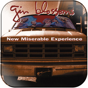 Gin Blossoms New Miserable Experience-2 Album Cover Sticker Gin Blossoms New Miserable Experience-2 Album Cover Sticker
