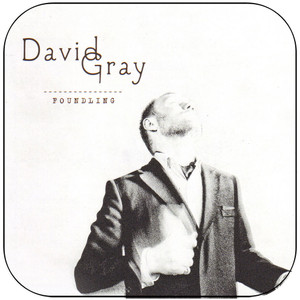 David Gray Foundling Album Cover Sticker David Gray Foundling Album Cover Sticker