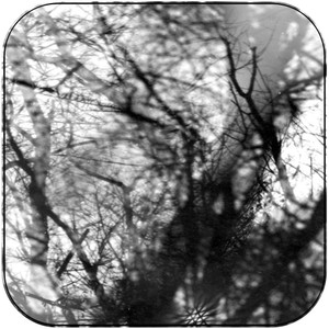 Grouper Way Their Crept Album Cover Sticker