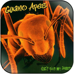 Guano Apes Dont Give Me Names-2 Album Cover Sticker Guano Apes Dont Give Me Names-2 Album Cover Sticker