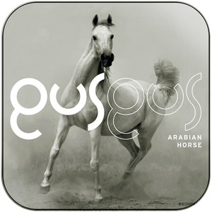 GusGus Arabian Horse-1 Album Cover Sticker GusGus Arabian Horse-1 Album Cover Sticker