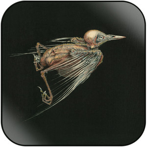 Jenny Hval Meshes Of Voice Album Cover Sticker Jenny Hval Meshes Of Voice Album Cover Sticker